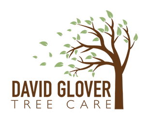 David Glover Tree Care